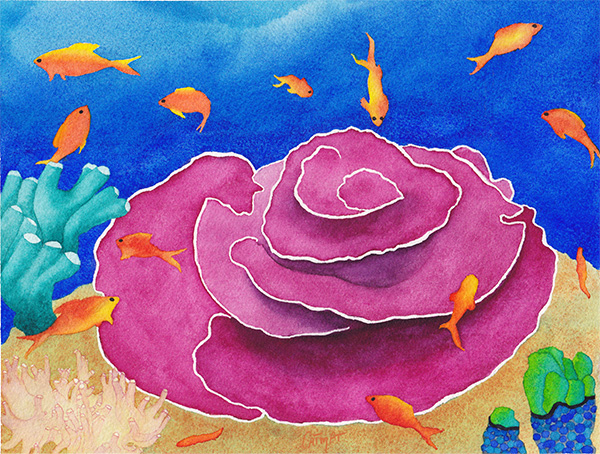 Coraux serie Vie Marine Aquarelle CatMat 2022